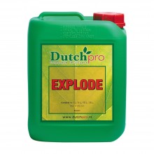 Dutch Pro Explode 5L