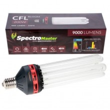 Spectromaster CFL Bloom 200W 2100°K