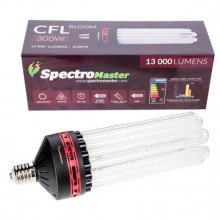 Spectromaster CFL Bloom 300W 2100°K