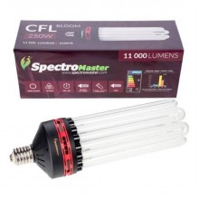 Spectromaster CFL STAR Bloom 250W 2100°K
