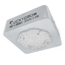 Lucky Grow LED Modular110, universal, lens 120°