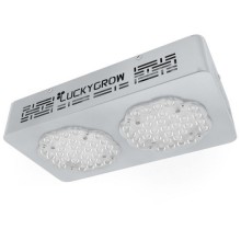 Lucky Grow LED Modular220, bloom, lens 120°