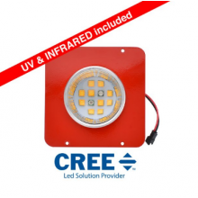 COB CREE XTE, dedykowany do lamp LED NX2, PHYTOLITE, FULL CYCLE 30W, wymienny moduł