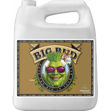 Advanced Nutrients BIG BUD COCO 5L