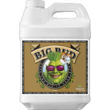 Advanced Nutrients BIG BUD COCO 250ML