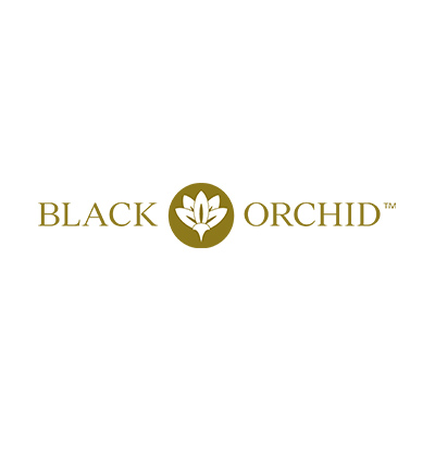 blackorchid.jpg