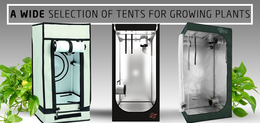 A wide selection of tents for growing plants